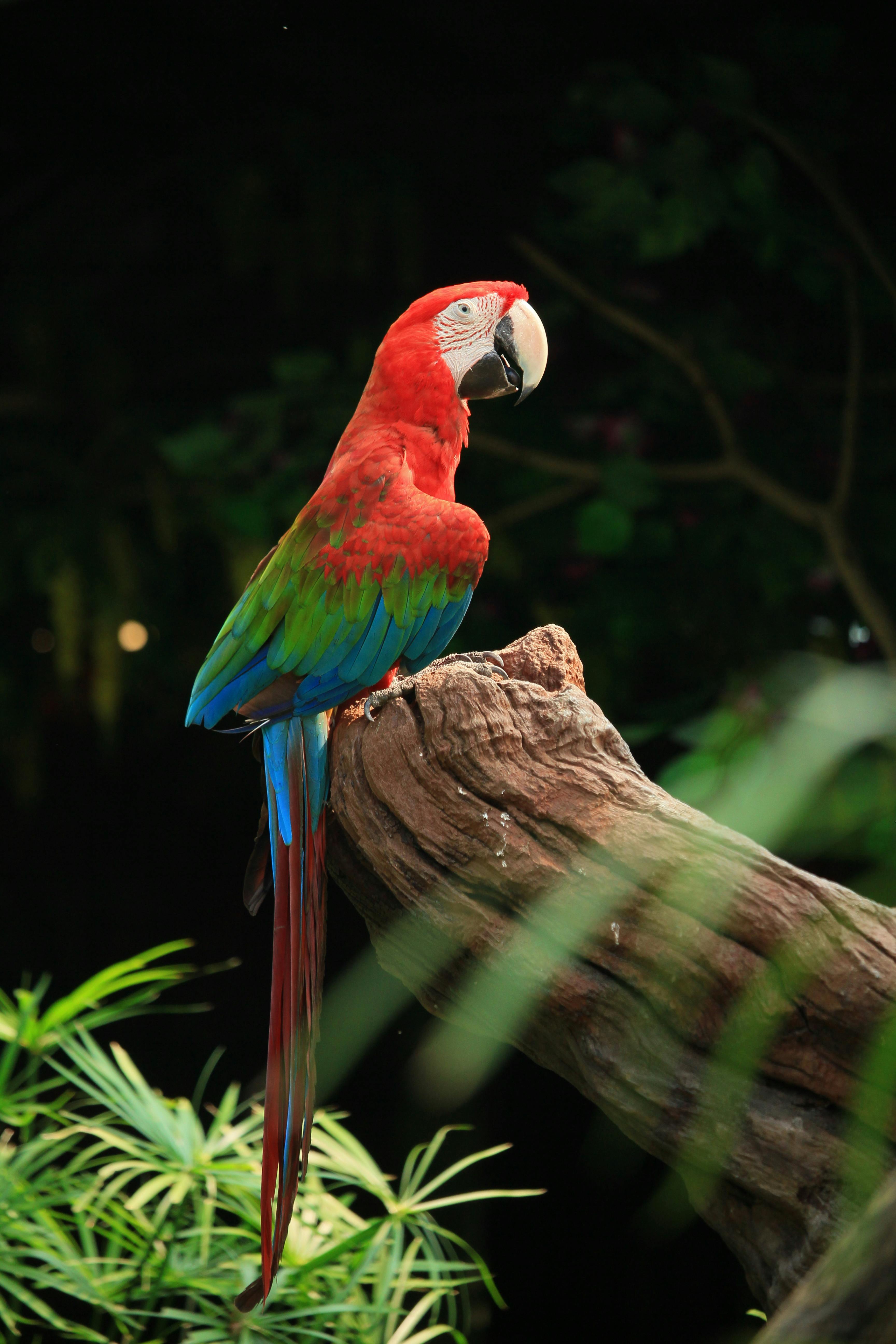 Nature 1